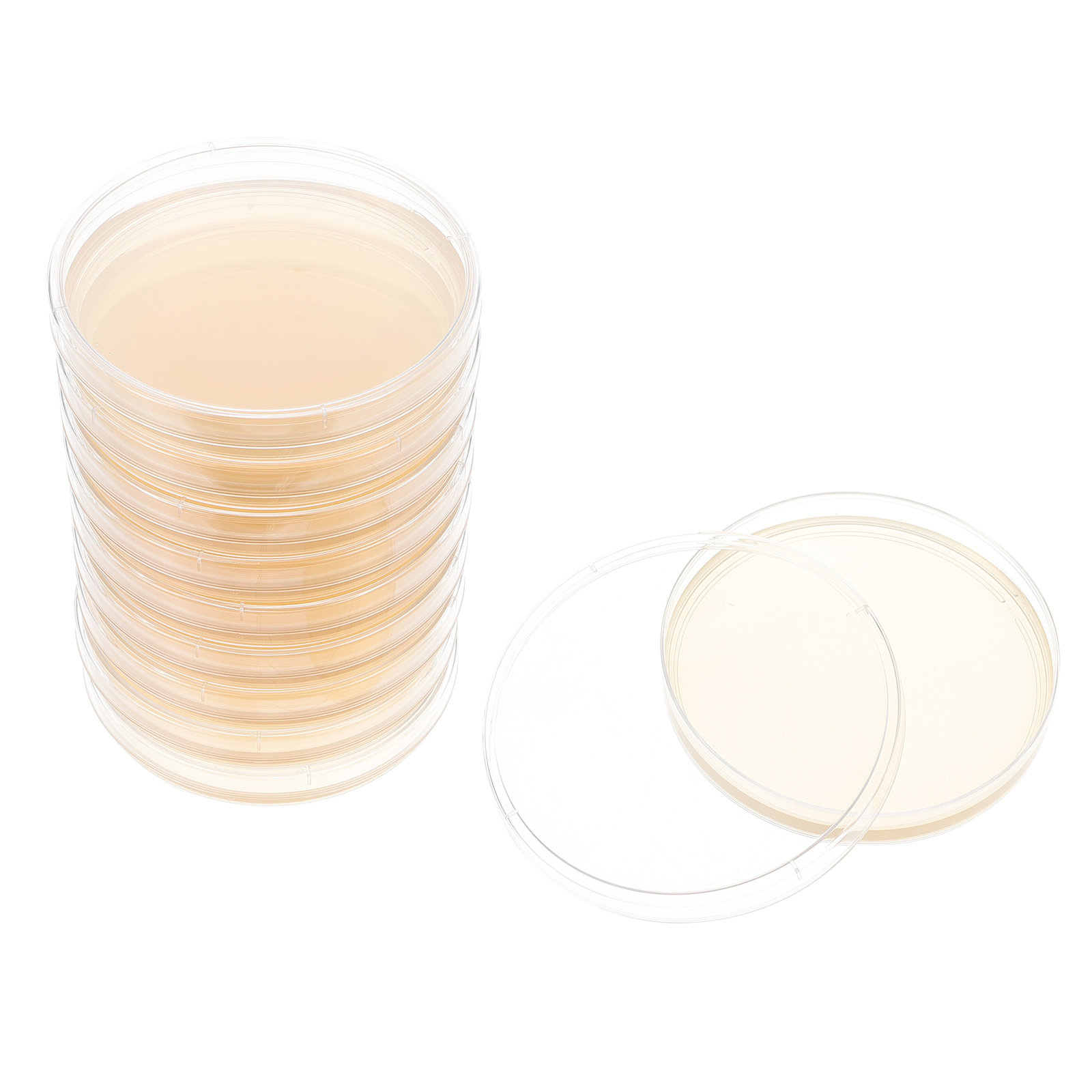 Science Project - 10 Piastre di Agar Nutritivo Pre-riempite,