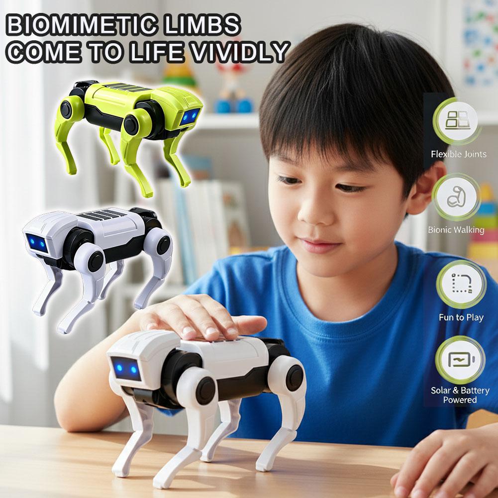 Kit Robot Cane Telecomandato F - Science Toys Diy recensione e prezzo