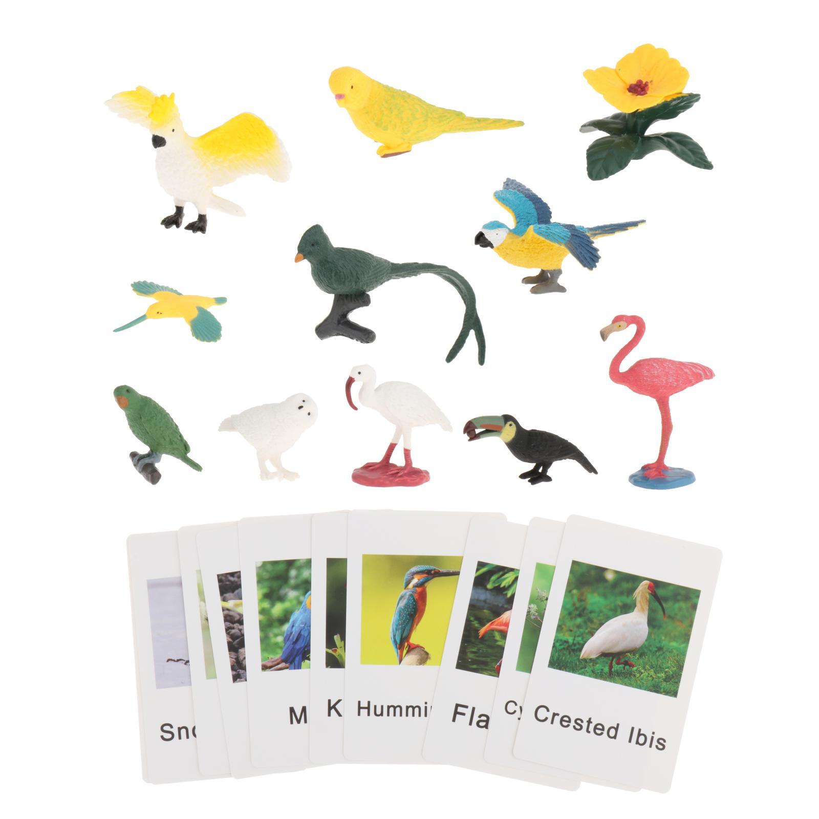 Figure di Animali Montessori c - Science Nature recensione e prezzo