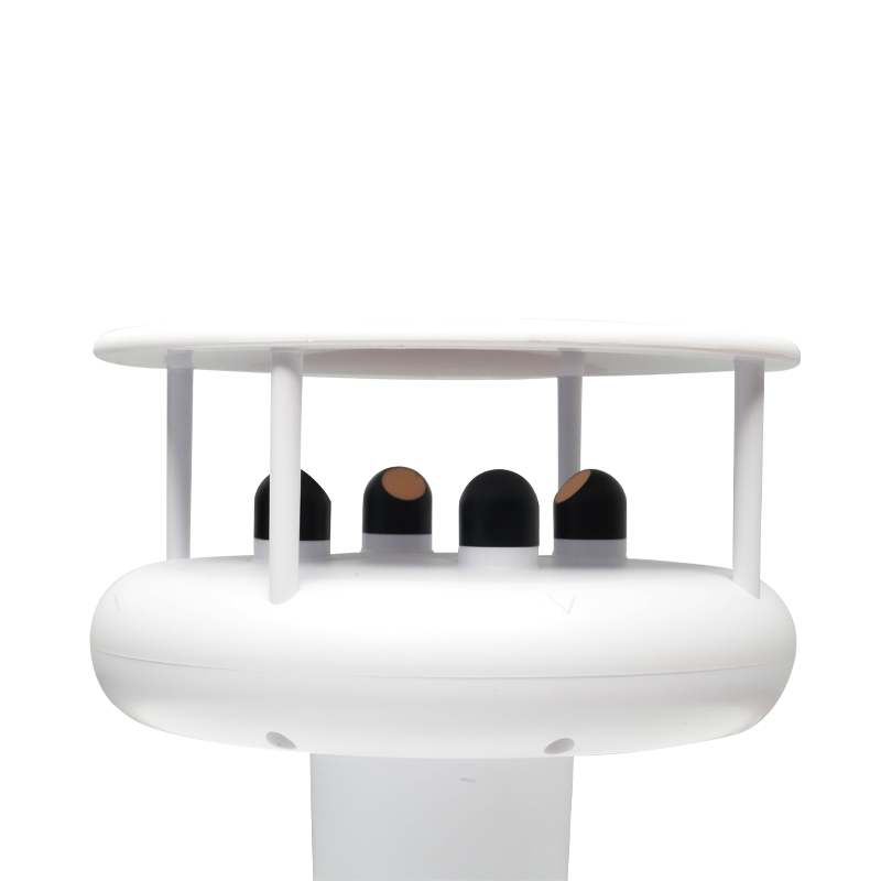 Stazione Meteorologica Esterna - Anemometer Wind Speed recensione e prezzo
