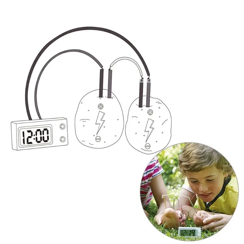Nuovo Giocattolo Montessori pe - Science Nature recensione e prezzo